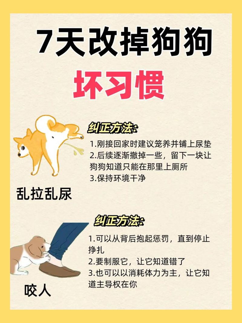 狗狗脾气不好怎么训练_狗狗脾气不好的原因-第5张图片-后鲨宠物 狗狗脾气不好怎么训练_狗狗脾气不好的原因-第5张图片-后鲨宠物