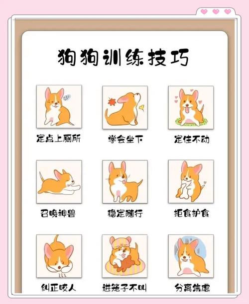 狗狗脾气不好怎么训练_狗狗脾气不好的原因-第6张图片-后鲨宠物 狗狗脾气不好怎么训练_狗狗脾气不好的原因-第6张图片-后鲨宠物