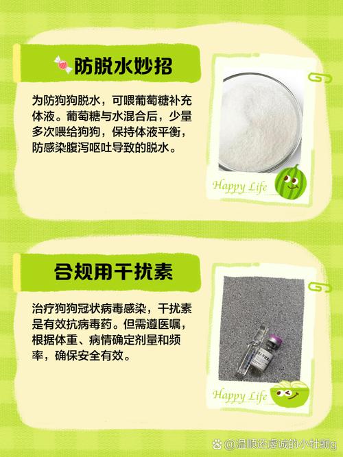 狗狗冠状病毒怎么治疗_幼犬得了冠状能活吗-第2张图片-后鲨宠物 狗狗冠状病毒怎么治疗_幼犬得了冠状能活吗-第2张图片-后鲨宠物