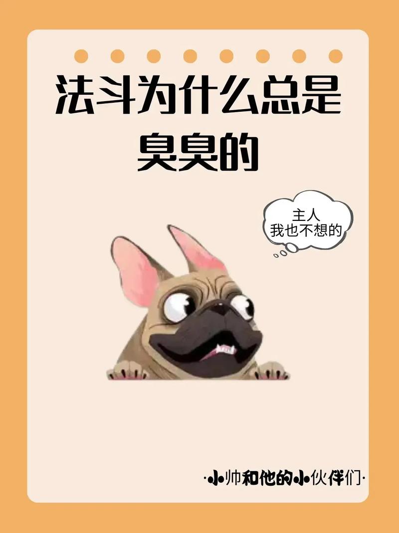 狗狗拉屎很臭怎么办_狗狗拉屎特别臭怎么办-第2张图片-后鲨宠物 狗狗拉屎很臭怎么办_狗狗拉屎特别臭怎么办-第2张图片-后鲨宠物