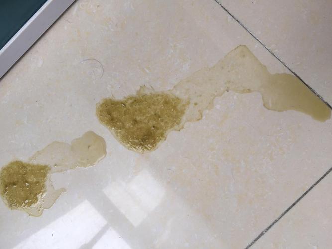 狗狗拉屎很臭怎么办_狗狗拉屎特别臭怎么办-第3张图片-后鲨宠物 狗狗拉屎很臭怎么办_狗狗拉屎特别臭怎么办-第3张图片-后鲨宠物