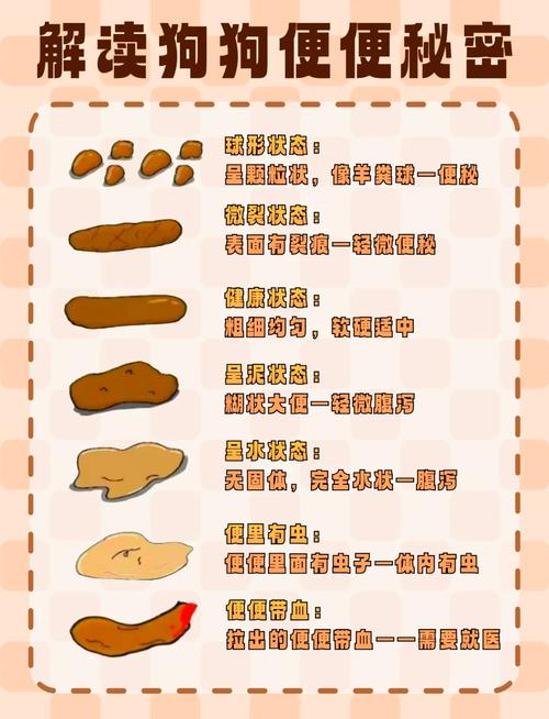 狗狗拉屎很臭怎么办_狗狗拉屎特别臭怎么办-第5张图片-后鲨宠物 狗狗拉屎很臭怎么办_狗狗拉屎特别臭怎么办-第5张图片-后鲨宠物