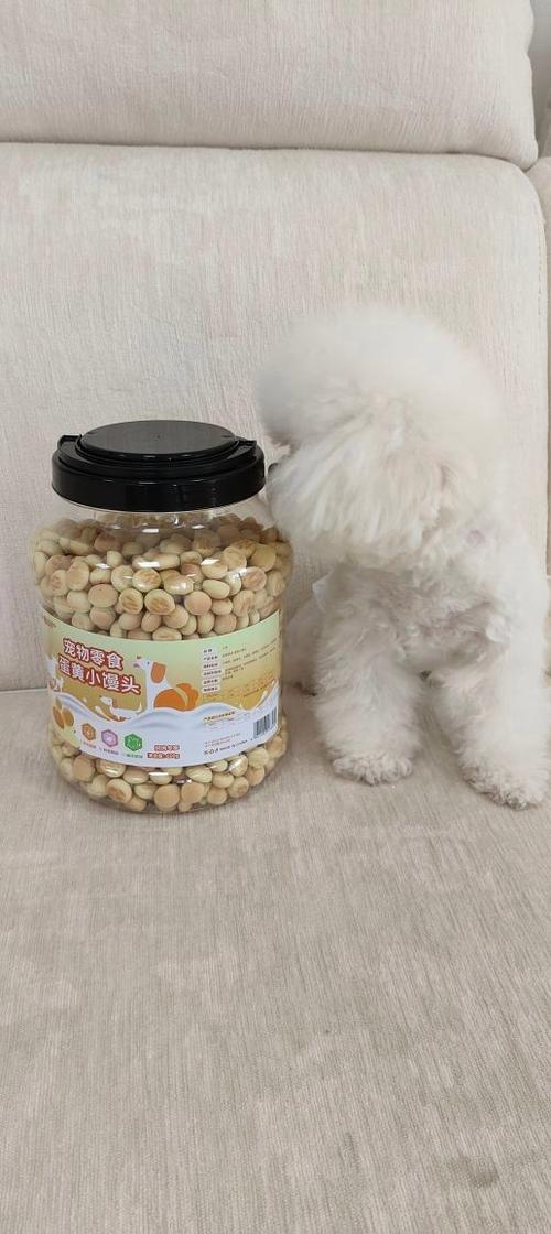 两个月狗狗吃什么,两个月狗狗吃什么狗粮-第4张图片-后鲨宠物 两个月狗狗吃什么,两个月狗狗吃什么狗粮-第4张图片-后鲨宠物