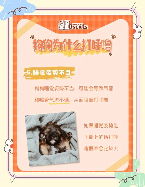 狗狗打呼噜正常吗,狗狗打呼噜正常么?-第4张图片-后鲨宠物 狗狗打呼噜正常吗,狗狗打呼噜正常么?-第4张图片-后鲨宠物