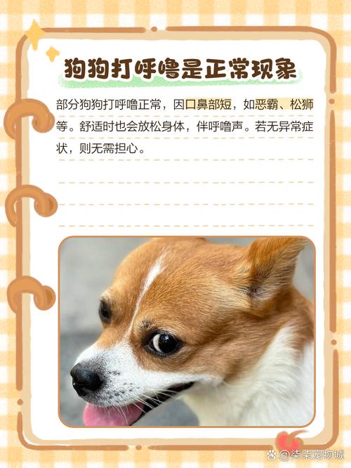 狗狗打呼噜正常吗,狗狗打呼噜正常么?-第5张图片-后鲨宠物 狗狗打呼噜正常吗,狗狗打呼噜正常么?-第5张图片-后鲨宠物