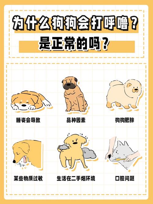 狗狗打呼噜正常吗,狗狗打呼噜正常么?-第6张图片-后鲨宠物 狗狗打呼噜正常吗,狗狗打呼噜正常么?-第6张图片-后鲨宠物