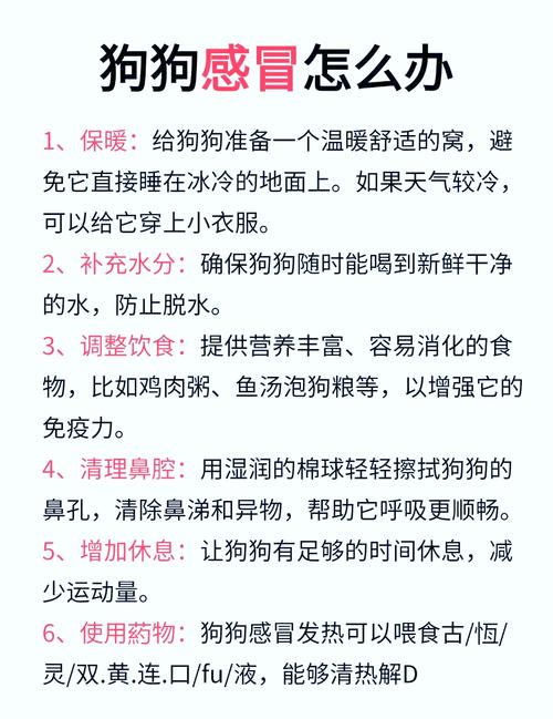 狗狗感冒严重了怎么办,狗狗感冒严重会怎么样?-第4张图片-后鲨宠物 狗狗感冒严重了怎么办,狗狗感冒严重会怎么样?-第4张图片-后鲨宠物