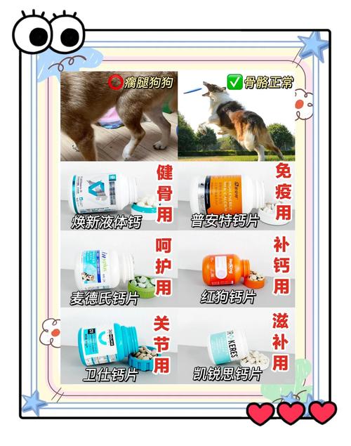 狗狗缺钙怎么补_狗狗缺钙补什么-第2张图片-后鲨宠物