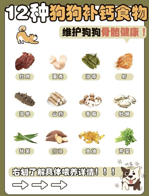 狗狗缺钙怎么补_狗狗缺钙补什么-第3张图片-后鲨宠物