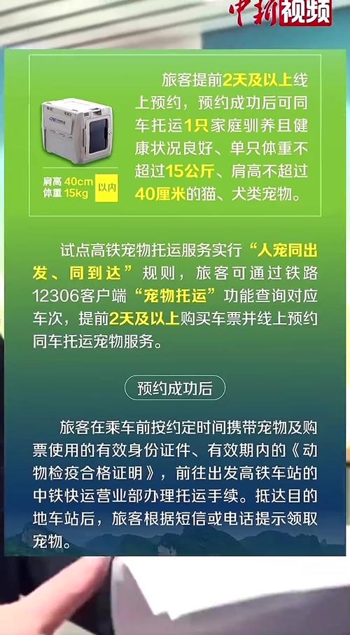 狗狗可以高铁托运吗_宠物狗能上高铁托运多少钱-第3张图片-后鲨宠物 狗狗可以高铁托运吗_宠物狗能上高铁托运多少钱-第3张图片-后鲨宠物