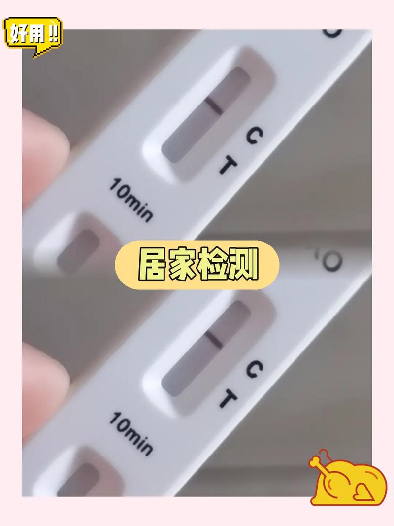 狗狗查弓形虫多少钱_狗狗查弓形虫多少钱一次-第4张图片-后鲨宠物 狗狗查弓形虫多少钱_狗狗查弓形虫多少钱一次-第4张图片-后鲨宠物