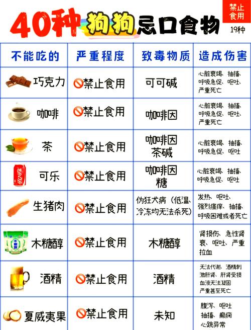 狗狗可以吃酸菜吗_宠物狗能吃酸菜吗-第5张图片-后鲨宠物 狗狗可以吃酸菜吗_宠物狗能吃酸菜吗-第5张图片-后鲨宠物