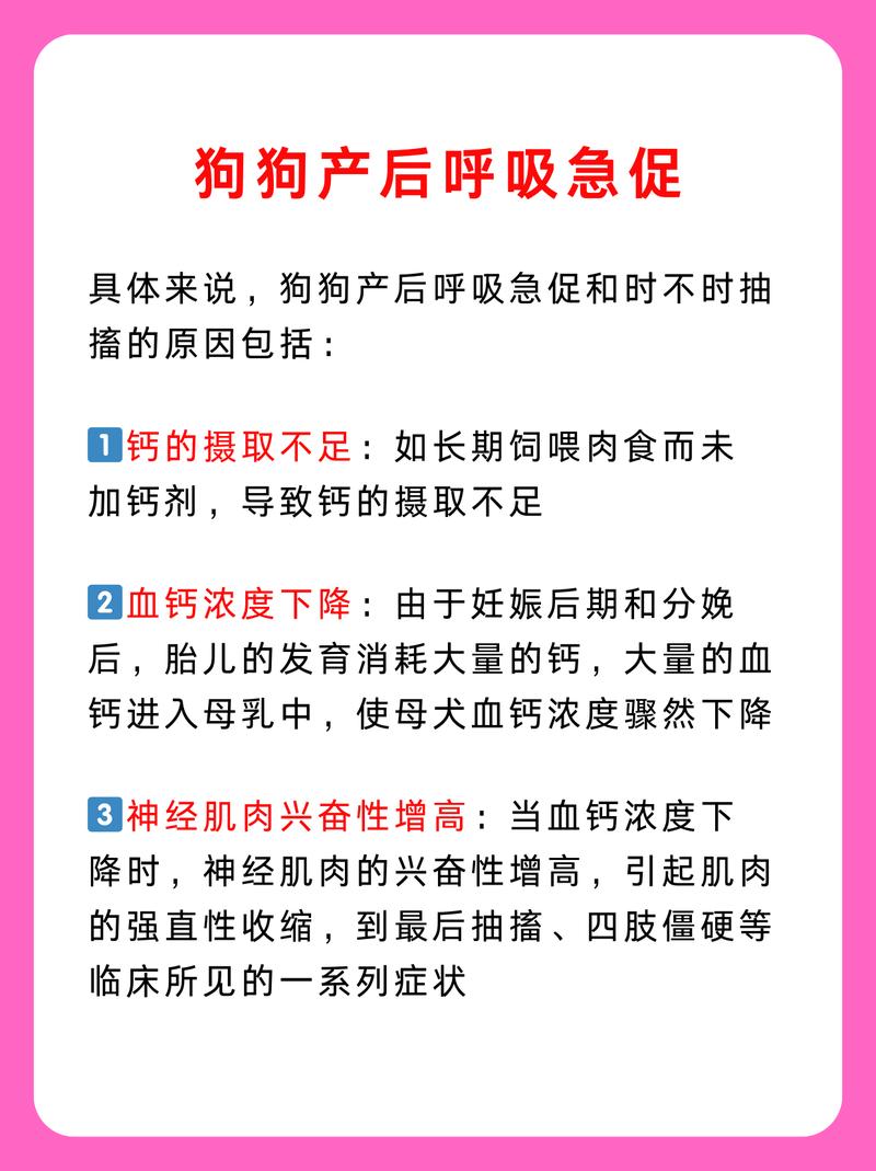 狗狗急性缺钙的症状_狗狗急性缺钙的症状有哪些-第3张图片-后鲨宠物 狗狗急性缺钙的症状_狗狗急性缺钙的症状有哪些-第3张图片-后鲨宠物
