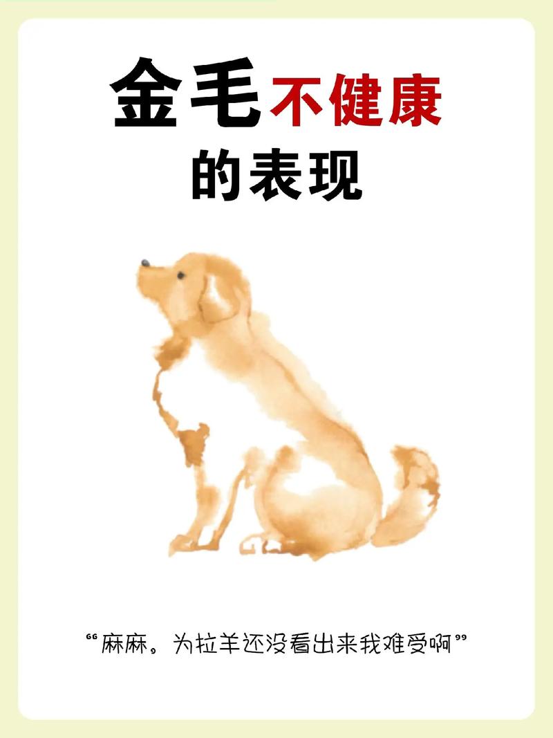 狗狗急性缺钙的症状_狗狗急性缺钙的症状有哪些-第5张图片-后鲨宠物 狗狗急性缺钙的症状_狗狗急性缺钙的症状有哪些-第5张图片-后鲨宠物