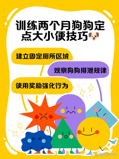 怎么才能训练狗狗的方法,怎么更好的训练狗狗?-第4张图片-后鲨宠物 怎么才能训练狗狗的方法,怎么更好的训练狗狗?-第4张图片-后鲨宠物