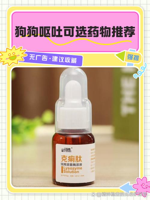 狗狗呕吐拉肚子吃什么药,狗狗呕吐拉肚子吃什么药管用-第5张图片-后鲨宠物 狗狗呕吐拉肚子吃什么药,狗狗呕吐拉肚子吃什么药管用-第5张图片-后鲨宠物