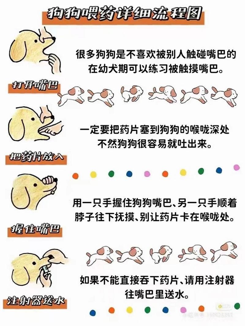 狗狗打虫药怎么喂_狗狗打虫药喂多了会-第3张图片-后鲨宠物 狗狗打虫药怎么喂_狗狗打虫药喂多了会-第3张图片-后鲨宠物