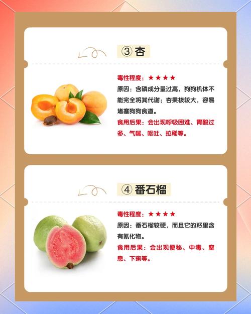 狗狗绝对不能吃的水果_盘点狗狗不能吃的6种水果,你喂过几个?-第4张图片-后鲨宠物 狗狗绝对不能吃的水果_盘点狗狗不能吃的6种水果,你喂过几个?-第4张图片-后鲨宠物