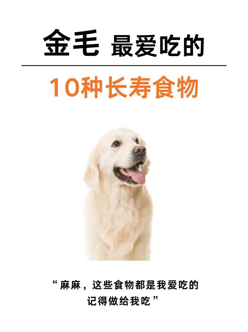 狗狗可以吃牛肉粒吗,狗可以吃牛肉吗??-第3张图片-后鲨宠物 狗狗可以吃牛肉粒吗,狗可以吃牛肉吗??-第3张图片-后鲨宠物