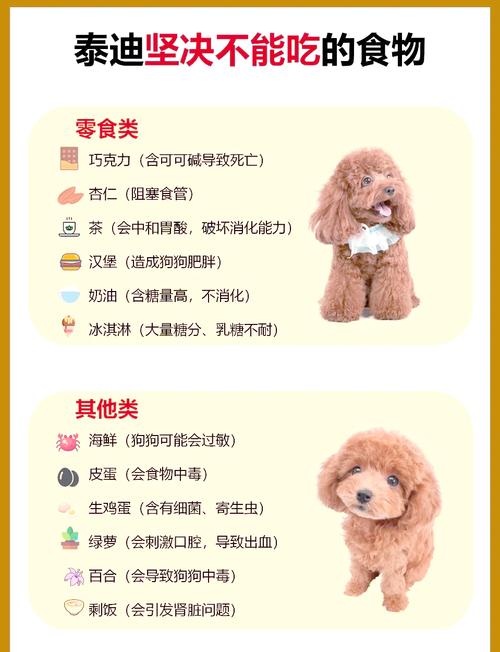 狗狗可以吃牛肉粒吗,狗可以吃牛肉吗??-第5张图片-后鲨宠物 狗狗可以吃牛肉粒吗,狗可以吃牛肉吗??-第5张图片-后鲨宠物