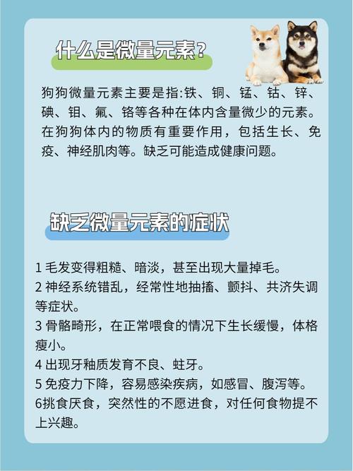 狗狗的微量元素是什么东西_狗狗的微量元素可以从食物中哪个里面获得-第3张图片-后鲨宠物 狗狗的微量元素是什么东西_狗狗的微量元素可以从食物中哪个里面获得-第3张图片-后鲨宠物
