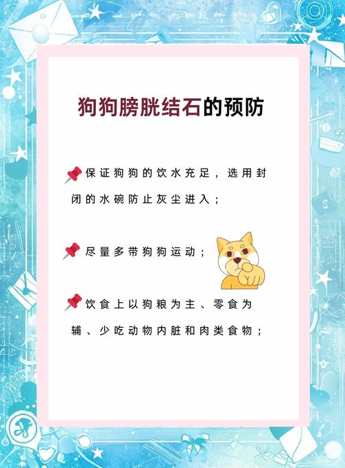 狗狗膀胱结石吃什么药,狗狗膀胱结石吃什么药可以消石-第5张图片-后鲨宠物 狗狗膀胱结石吃什么药,狗狗膀胱结石吃什么药可以消石-第5张图片-后鲨宠物