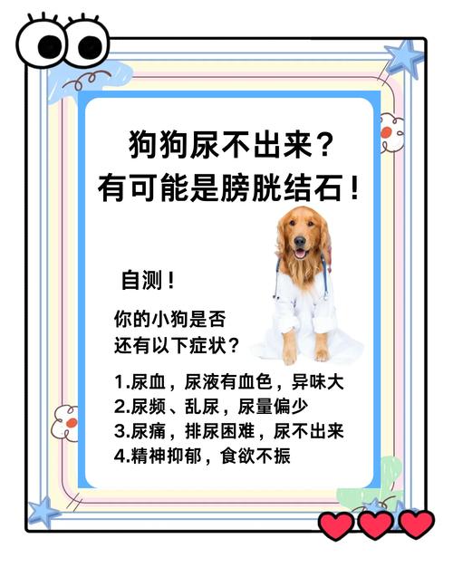 狗狗膀胱结石吃什么药,狗狗膀胱结石吃什么药可以消石-第6张图片-后鲨宠物 狗狗膀胱结石吃什么药,狗狗膀胱结石吃什么药可以消石-第6张图片-后鲨宠物