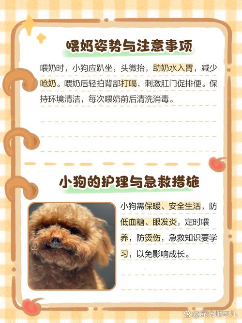 狗狗刚出生不会吃奶怎么办_小狗狗出生后不会吃奶是怎么回事?-第6张图片-后鲨宠物 狗狗刚出生不会吃奶怎么办_小狗狗出生后不会吃奶是怎么回事?-第6张图片-后鲨宠物