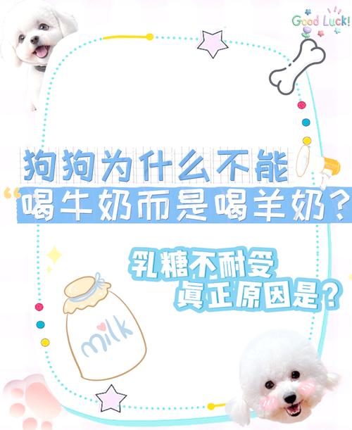 狗狗喝羊奶的好处，狗狗喝羊奶的好处和坏处？-第5张图片-后鲨宠物