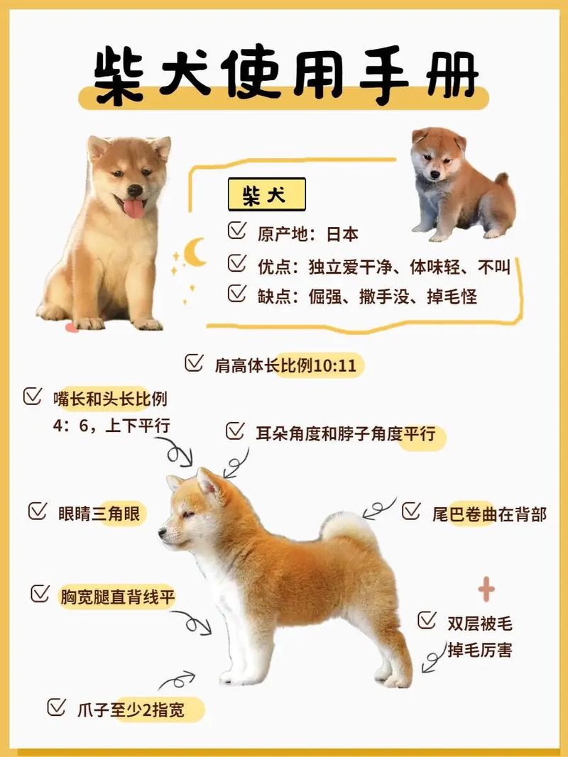 怎么让狗狗耳朵立起来_怎样让狗狗耳朵立起来-第3张图片-后鲨宠物 怎么让狗狗耳朵立起来_怎样让狗狗耳朵立起来-第3张图片-后鲨宠物