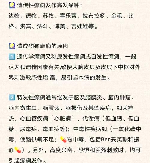 狗狗癫疯病是怎么引起的,狗狗癫疯怎么治疗方法?-第3张图片-后鲨宠物 狗狗癫疯病是怎么引起的,狗狗癫疯怎么治疗方法?-第3张图片-后鲨宠物