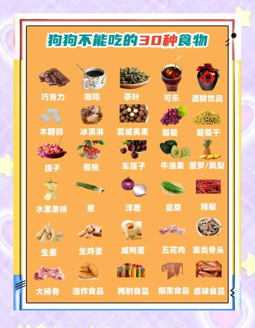 狗狗能吃雪梨吗,狗狗能吃雪梨吗会死吗-第1张图片-后鲨宠物 狗狗能吃雪梨吗,狗狗能吃雪梨吗会死吗-第1张图片-后鲨宠物