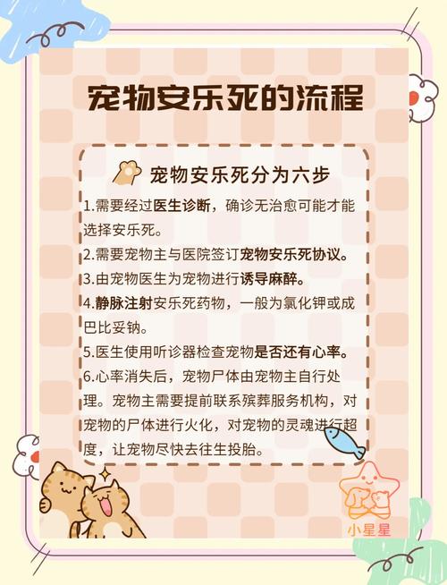 给狗狗打针多少钱，给狗狗打针要多少钱？-第3张图片-后鲨宠物