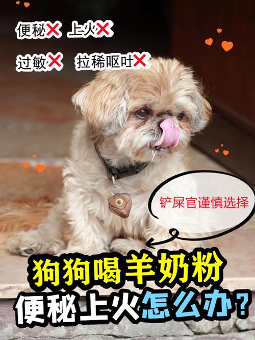 狗狗喝羊奶粉会上火吗_狗狗喝羊奶粉会上火吗还是下火-第2张图片-后鲨宠物 狗狗喝羊奶粉会上火吗_狗狗喝羊奶粉会上火吗还是下火-第2张图片-后鲨宠物