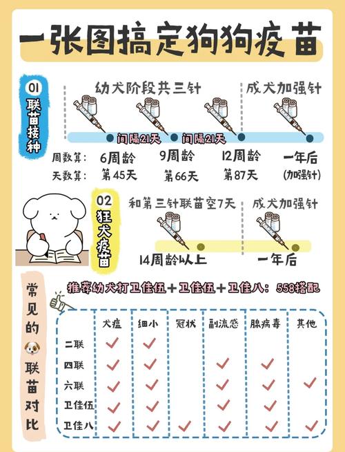 狗狗打疫苗顺序,狗狗打疫苗流程视频?-第4张图片-后鲨宠物 狗狗打疫苗顺序,狗狗打疫苗流程视频?-第4张图片-后鲨宠物