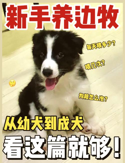 狗狗吃果根素副作用,狗狗吃了果根素会导致拉稀吗-第4张图片-后鲨宠物 狗狗吃果根素副作用,狗狗吃了果根素会导致拉稀吗-第4张图片-后鲨宠物