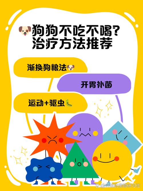 狗狗吃果根素副作用,狗狗吃了果根素会导致拉稀吗-第5张图片-后鲨宠物 狗狗吃果根素副作用,狗狗吃了果根素会导致拉稀吗-第5张图片-后鲨宠物