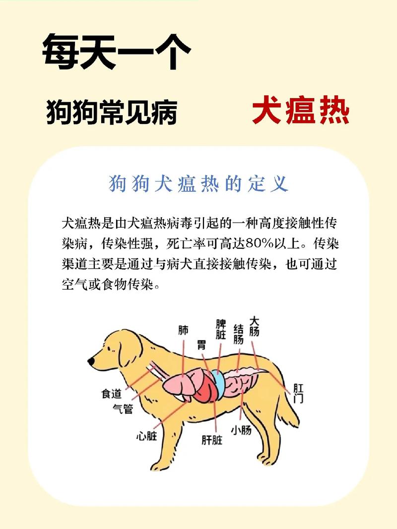 狗狗犬瘟怎么引起的,狗犬瘟原因-第1张图片-后鲨宠物 狗狗犬瘟怎么引起的,狗犬瘟原因-第1张图片-后鲨宠物