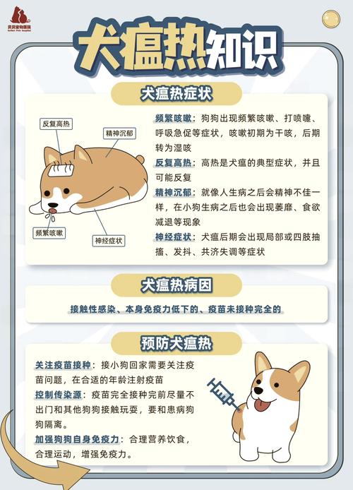 狗狗犬瘟怎么引起的,狗犬瘟原因-第5张图片-后鲨宠物 狗狗犬瘟怎么引起的,狗犬瘟原因-第5张图片-后鲨宠物