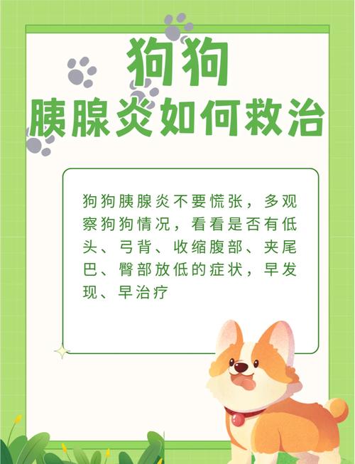 狗狗得了胰腺炎怎么办_狗狗得了胰腺炎在家怎么治-第4张图片-后鲨宠物 狗狗得了胰腺炎怎么办_狗狗得了胰腺炎在家怎么治-第4张图片-后鲨宠物