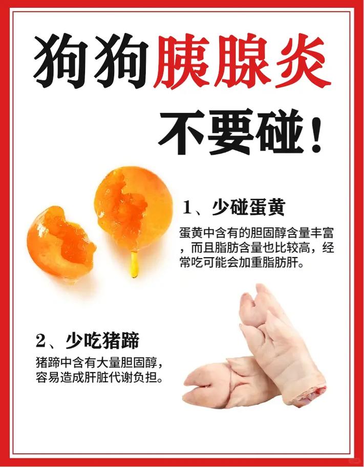 狗狗得了胰腺炎怎么办_狗狗得了胰腺炎在家怎么治-第5张图片-后鲨宠物 狗狗得了胰腺炎怎么办_狗狗得了胰腺炎在家怎么治-第5张图片-后鲨宠物