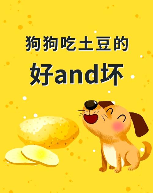 狗狗能吃煮熟的土豆吗,狗能不能吃熟的土豆-第4张图片-后鲨宠物 狗狗能吃煮熟的土豆吗,狗能不能吃熟的土豆-第4张图片-后鲨宠物