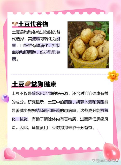 狗狗能吃煮熟的土豆吗,狗能不能吃熟的土豆-第5张图片-后鲨宠物 狗狗能吃煮熟的土豆吗,狗能不能吃熟的土豆-第5张图片-后鲨宠物