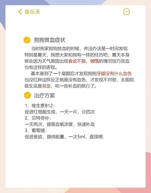 狗狗贫血严重怎么办,狗狗贫血严重怎么办能治好吗-第4张图片-后鲨宠物 狗狗贫血严重怎么办,狗狗贫血严重怎么办能治好吗-第4张图片-后鲨宠物