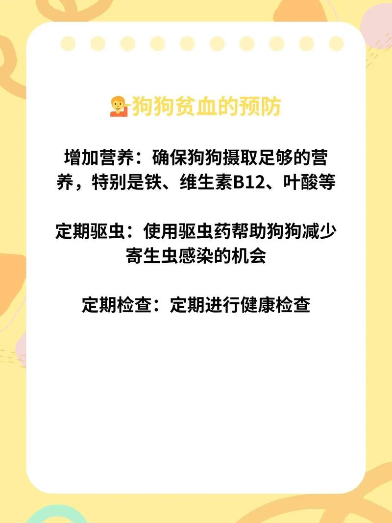 狗狗贫血严重怎么办,狗狗贫血严重怎么办能治好吗-第5张图片-后鲨宠物 狗狗贫血严重怎么办,狗狗贫血严重怎么办能治好吗-第5张图片-后鲨宠物