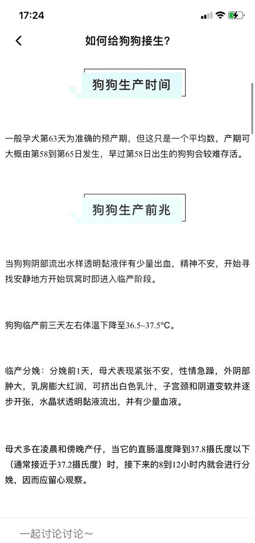  狗狗怀孕要几个月，狗怀孕期多久-第2张图片-后鲨宠物
