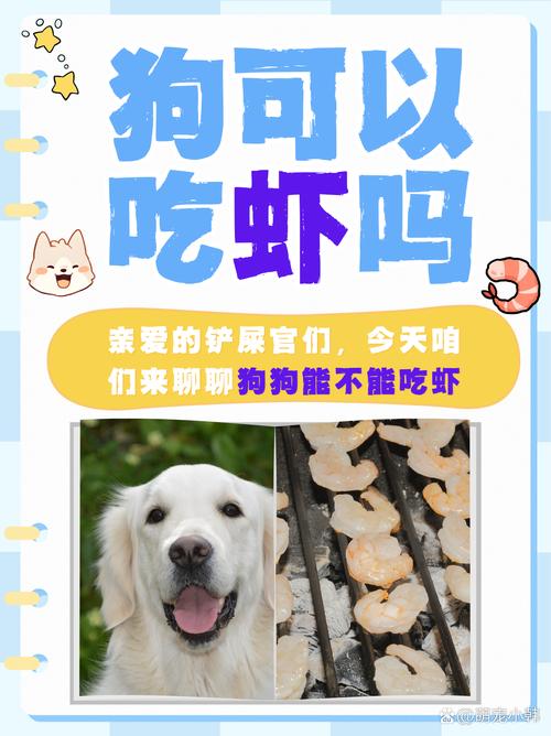 狗狗能吃虾米吗_狗吃虾米可以吗-第5张图片-后鲨宠物 狗狗能吃虾米吗_狗吃虾米可以吗-第5张图片-后鲨宠物