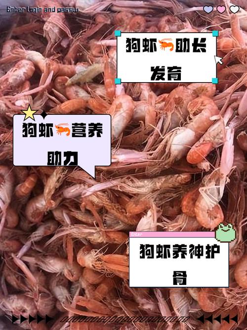 狗狗能吃虾米吗_狗吃虾米可以吗-第6张图片-后鲨宠物 狗狗能吃虾米吗_狗吃虾米可以吗-第6张图片-后鲨宠物