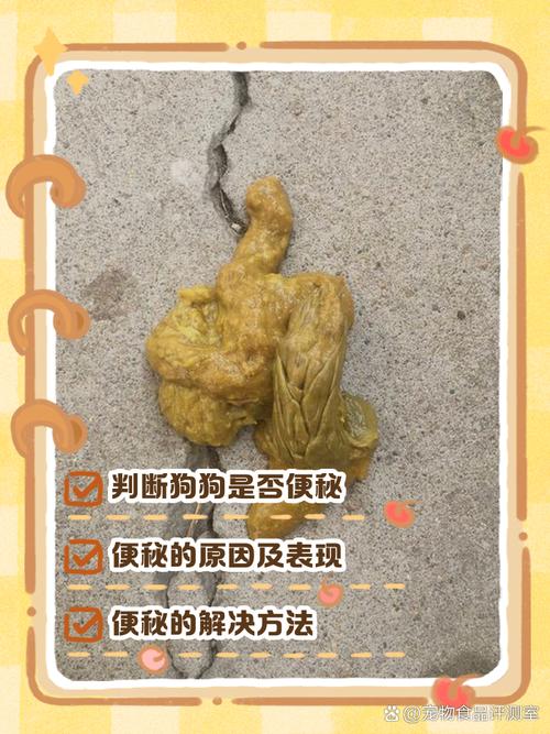 狗狗大便困难怎么办,狗狗大便困难怎么解决-第3张图片-后鲨宠物 狗狗大便困难怎么办,狗狗大便困难怎么解决-第3张图片-后鲨宠物