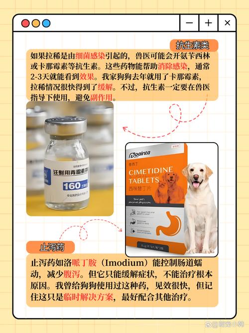 狗狗拉肚子带血怎么办_狗狗拉肚子带血怎么办可以吃什么药-第6张图片-后鲨宠物 狗狗拉肚子带血怎么办_狗狗拉肚子带血怎么办可以吃什么药-第6张图片-后鲨宠物